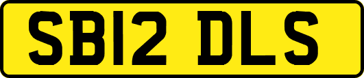 SB12DLS