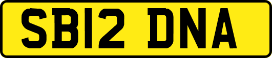 SB12DNA