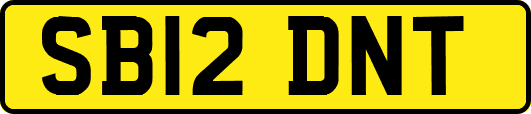 SB12DNT