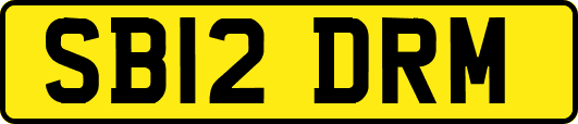 SB12DRM