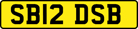 SB12DSB