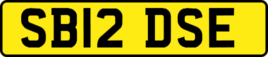 SB12DSE