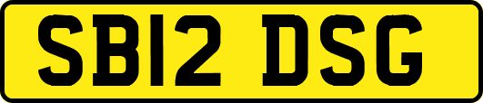 SB12DSG