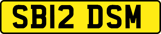 SB12DSM