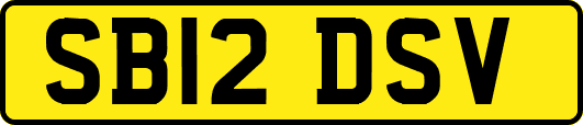 SB12DSV