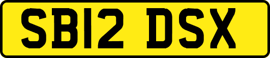 SB12DSX