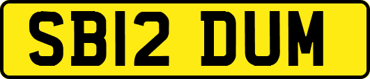 SB12DUM