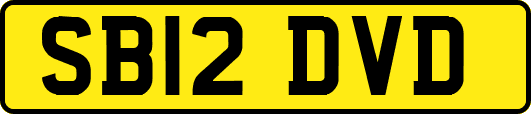 SB12DVD