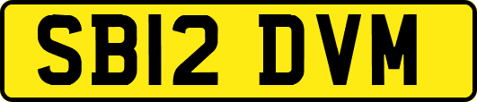SB12DVM