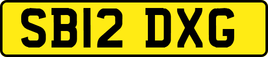 SB12DXG