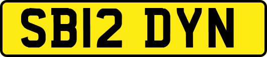 SB12DYN