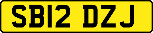 SB12DZJ