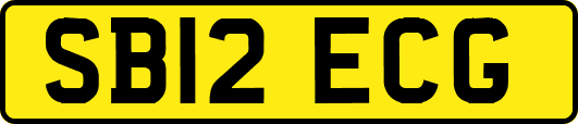 SB12ECG