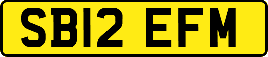 SB12EFM