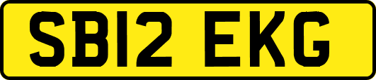 SB12EKG