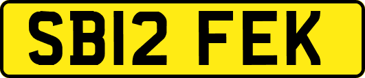 SB12FEK
