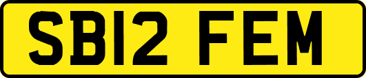 SB12FEM