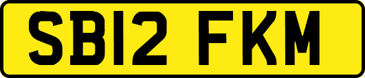 SB12FKM