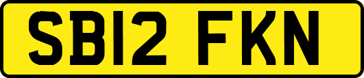 SB12FKN
