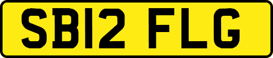 SB12FLG