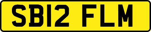 SB12FLM