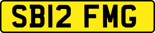 SB12FMG