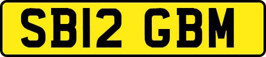 SB12GBM