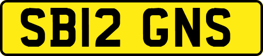 SB12GNS