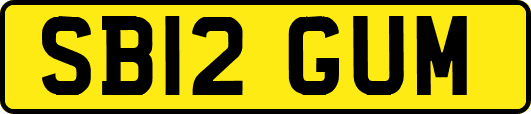 SB12GUM