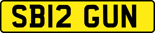 SB12GUN