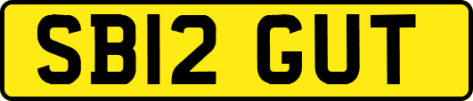 SB12GUT