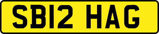 SB12HAG