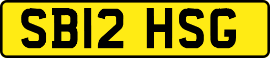 SB12HSG