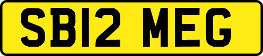 SB12MEG