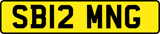 SB12MNG