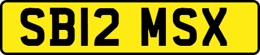 SB12MSX