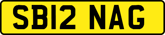 SB12NAG