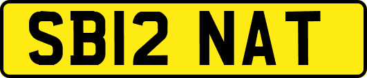SB12NAT