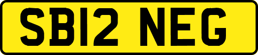 SB12NEG