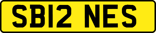 SB12NES
