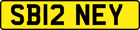 SB12NEY