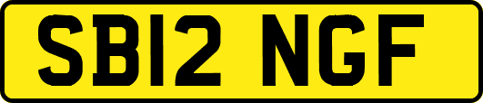 SB12NGF