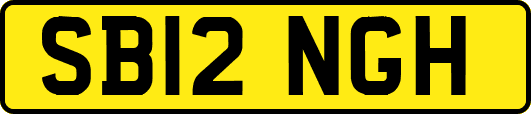 SB12NGH