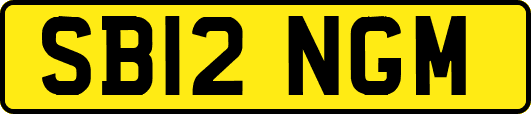 SB12NGM