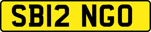 SB12NGO