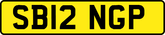 SB12NGP