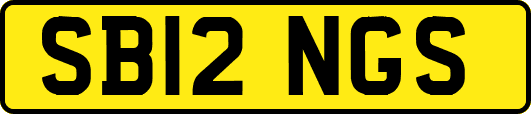 SB12NGS