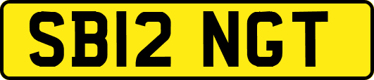 SB12NGT