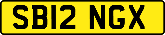 SB12NGX