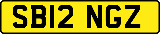 SB12NGZ